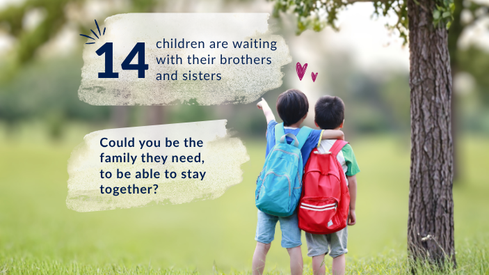 image shows that there are 14 children as part of a sibling group waiting to be adopted.